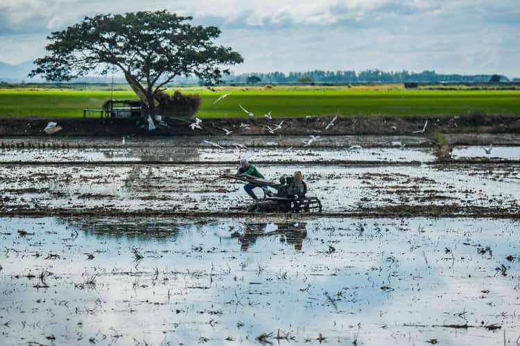 BWSM, JIRCAS partner on agri-tech projects
