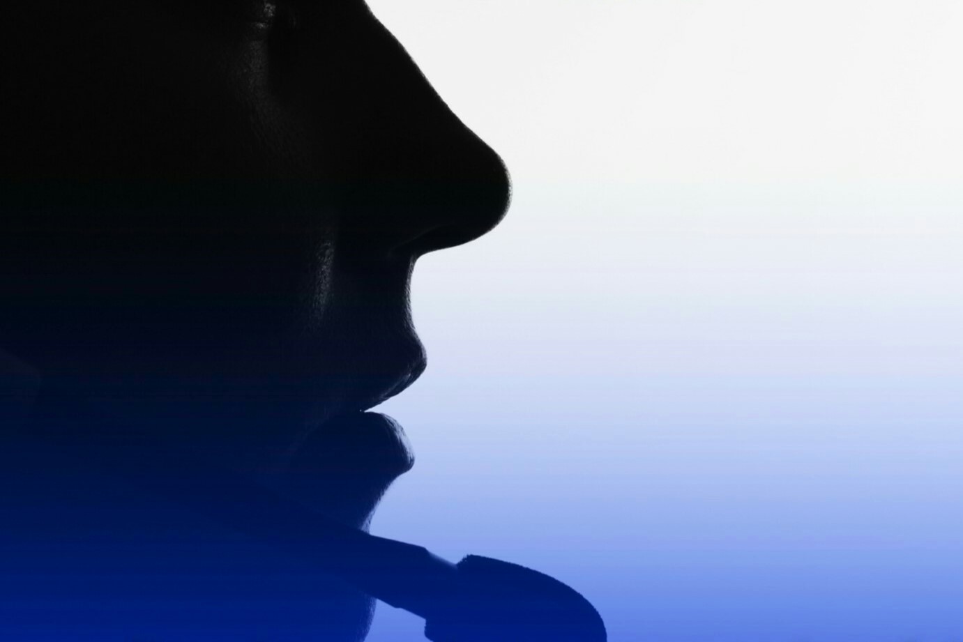 Cousins posed as tourists to work in pseudo-call centers