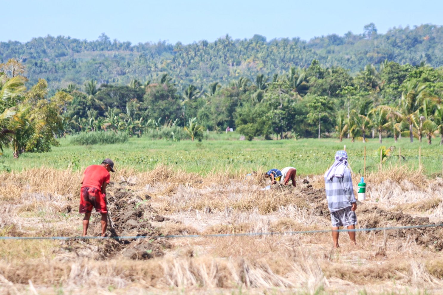 DA to provide assistance to earthquake-affected farmers in Mindanao