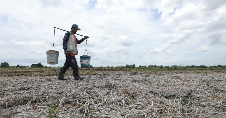El Niño logs P151-M agri damage to Western Visayas, ZamPen 