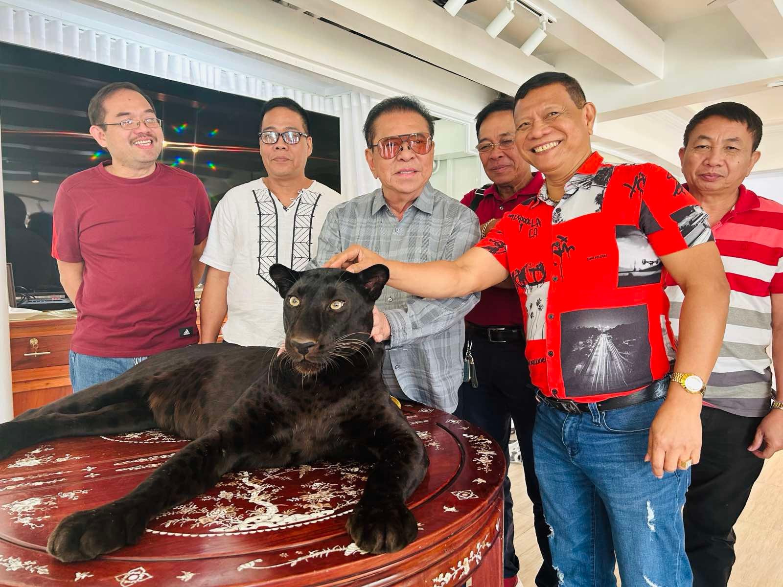 Chavit's solution to transport woes: Replace outdated jeepneys with modern e-jeeps