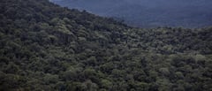Warring guerillas trap 25,000 Amazonians