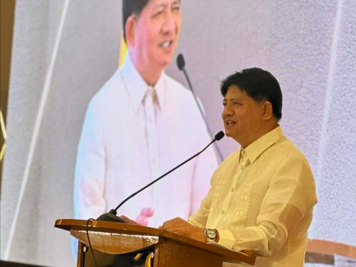 Gadon: Senate hearing linking Marcos to illegal drugs 'total waste of time'