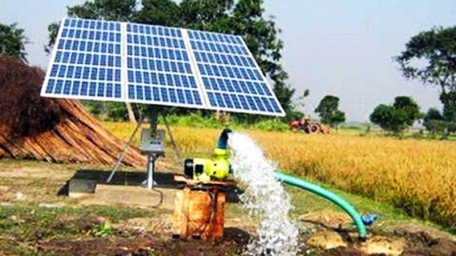 (Photo from Mazero Agrifood / website)