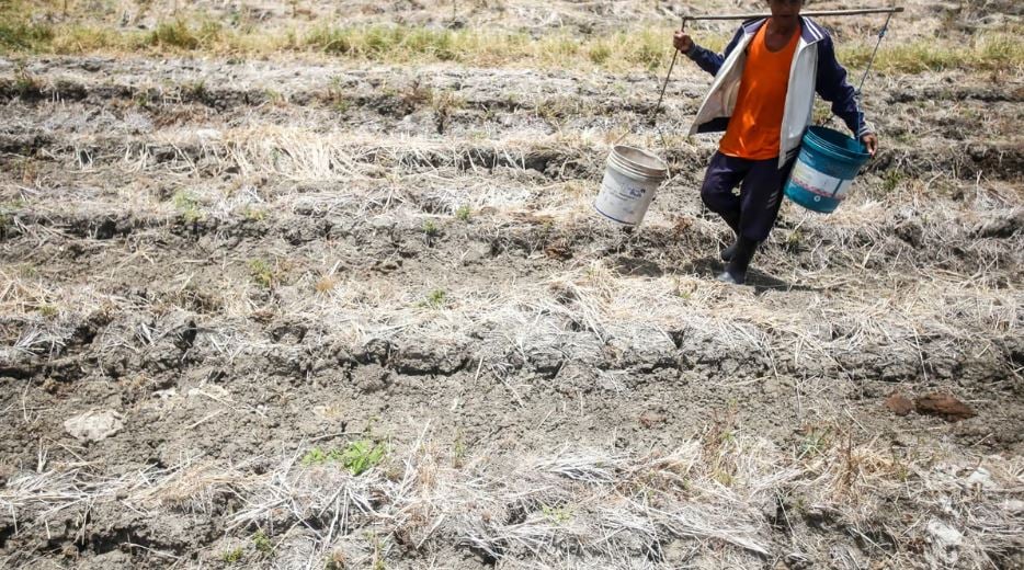 El Niño under control — gov’t