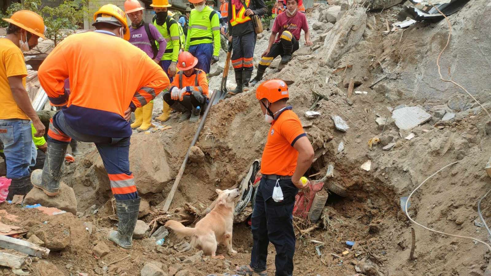 Philippine Coast Guard humanitarian rescue K9 dog, "Appa," helped rescue a three-year-old girl