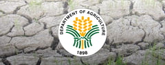 DA gives credit, insurance aid