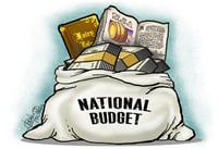 Pork-free budget a myth