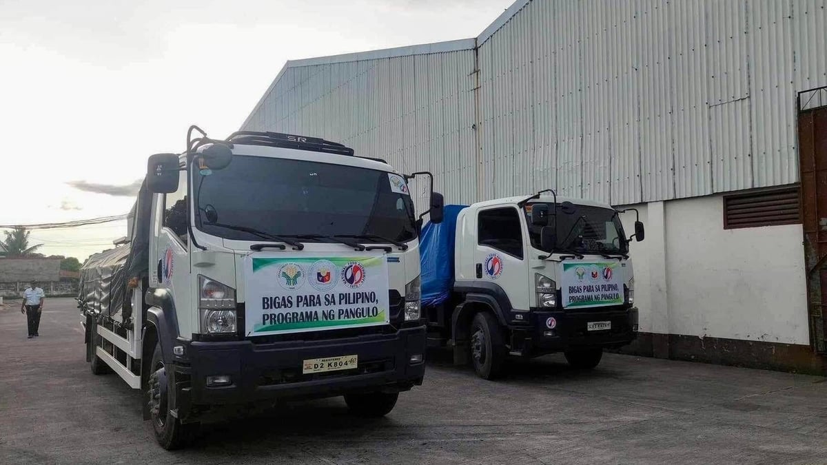 79 grain warehouses locked amid rice probe
