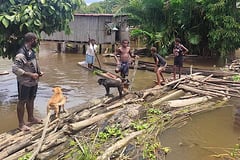 Papua New Guinea quake claims 5