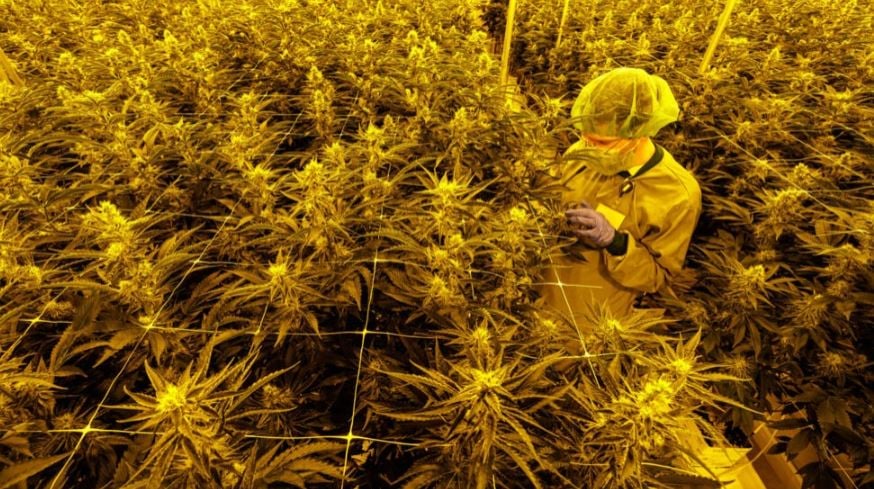 Germany’s legal weed sparks calls to protect young people