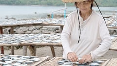 $1-M US grant to revamp Phl agri-fisheries sector