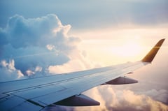 New technology to reduce bird strike incidents