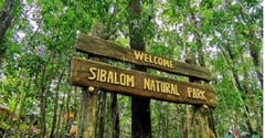 Antique towns suffer forest fires