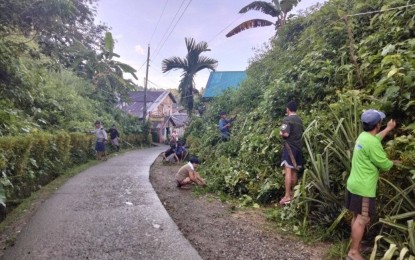 Northern Samar clashes claim rebel
