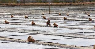 Salt Industry Development Act pirmado na