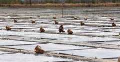 Salt Industry Development Act pirmado na