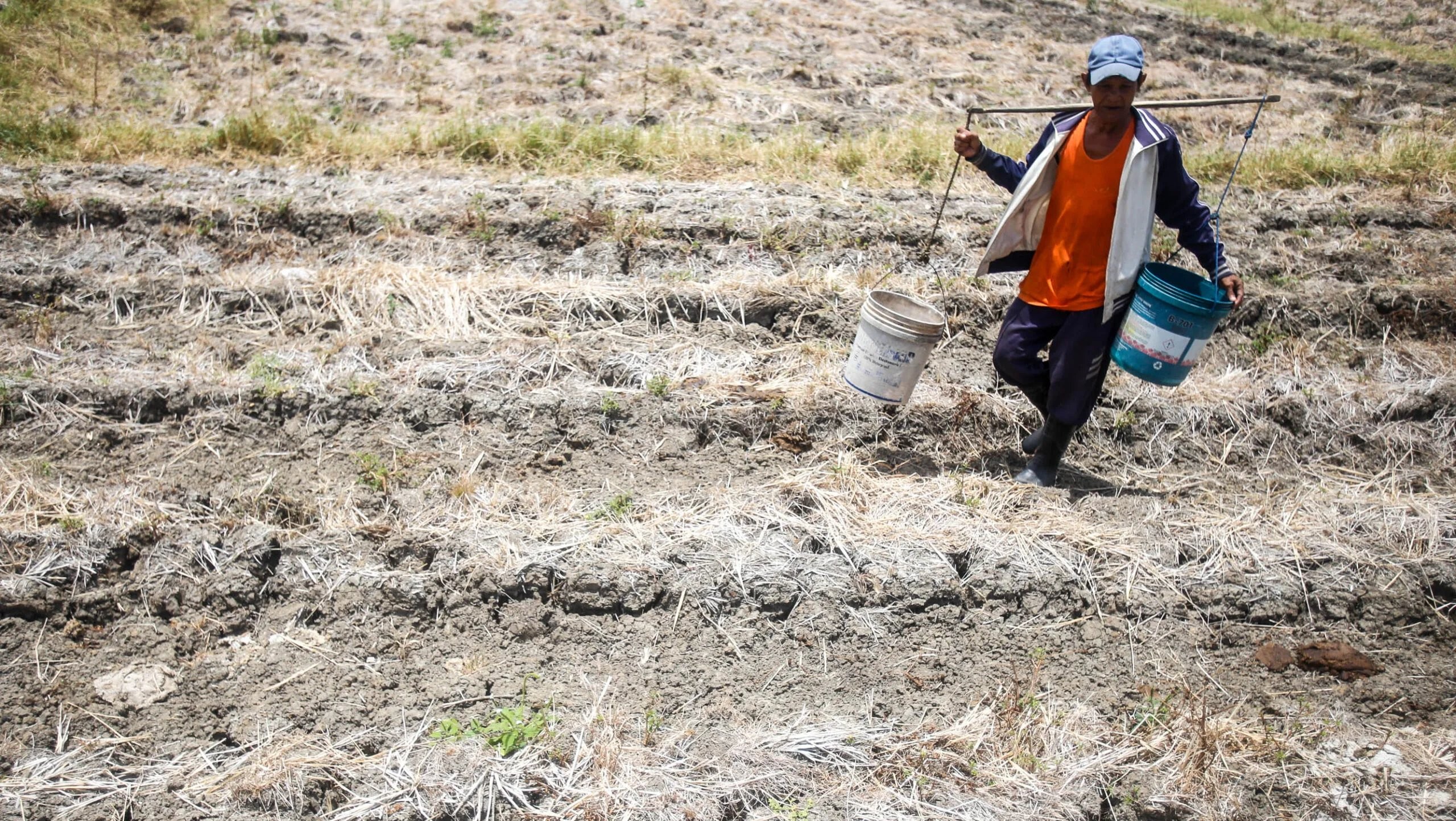 DA assures aid to El Niño-affected farmers of Oriental Mindoro