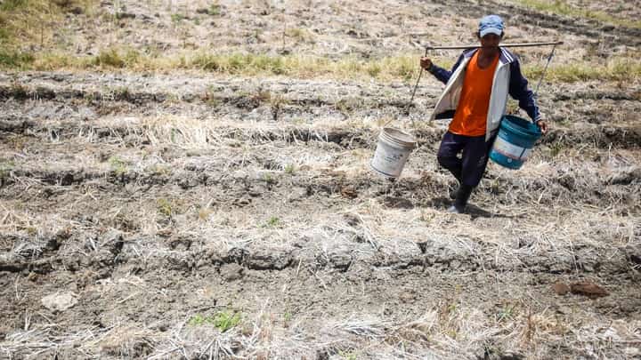 100 municipalities under state of calamity due to El Niño
