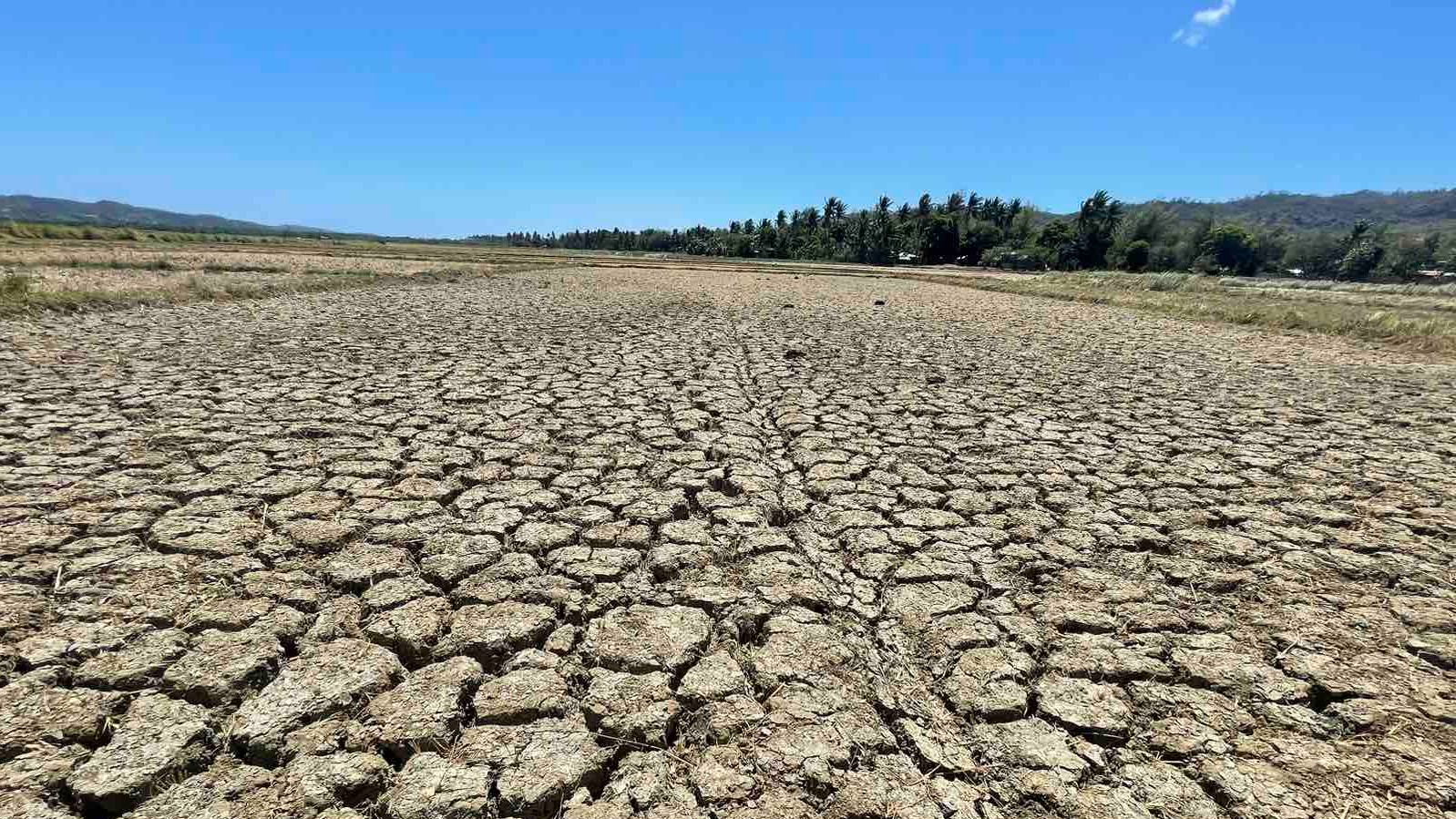State of calamity mulled in Albay town amid El Niño onslaught