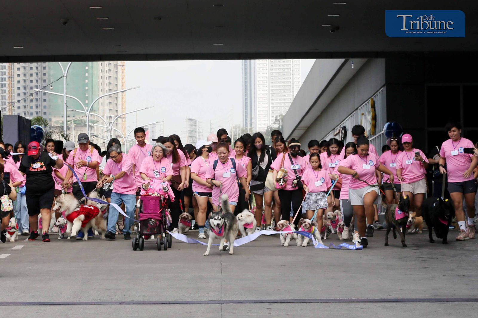 Pet Fun Run in Marikina