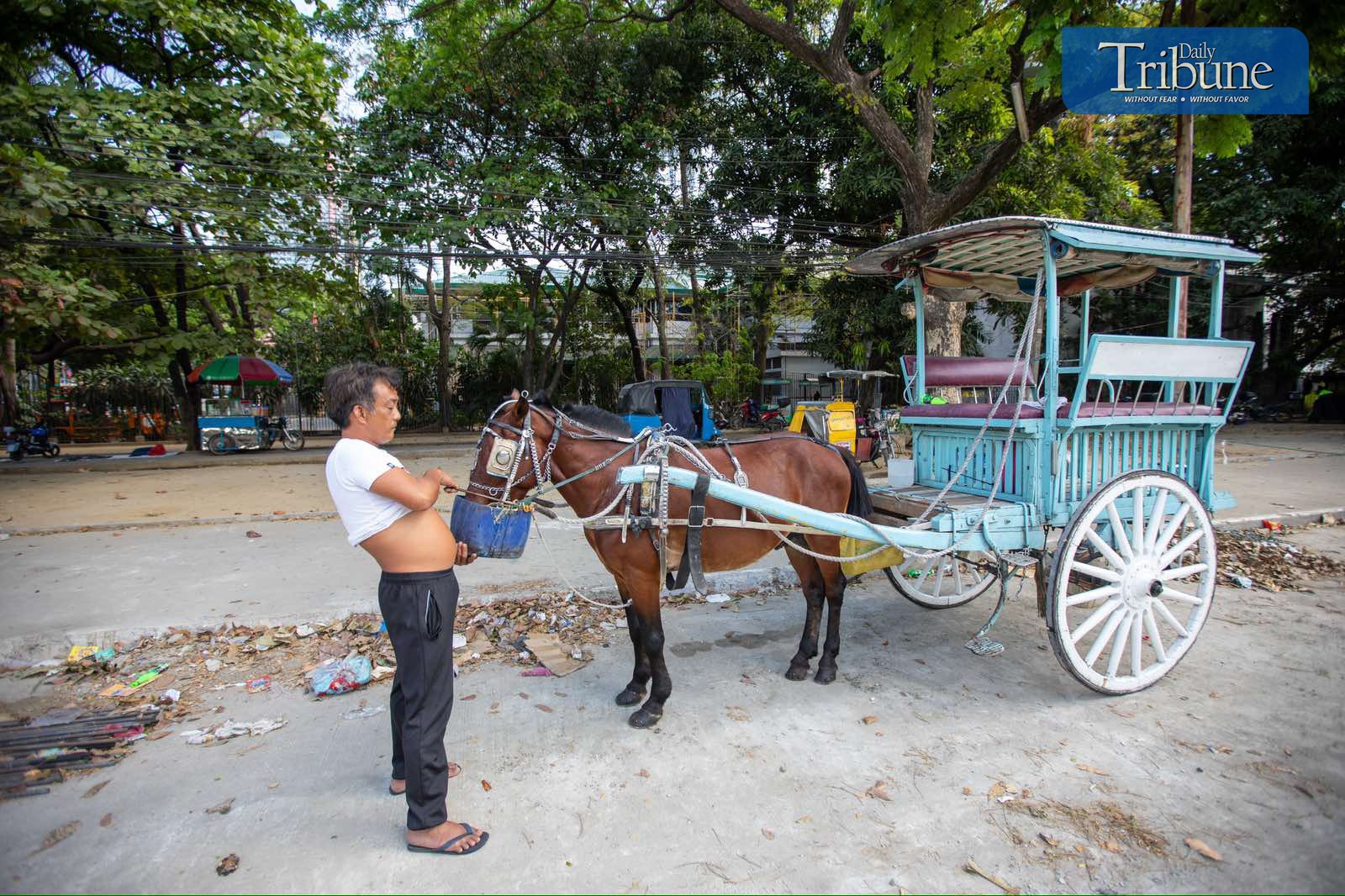 Horses need water too