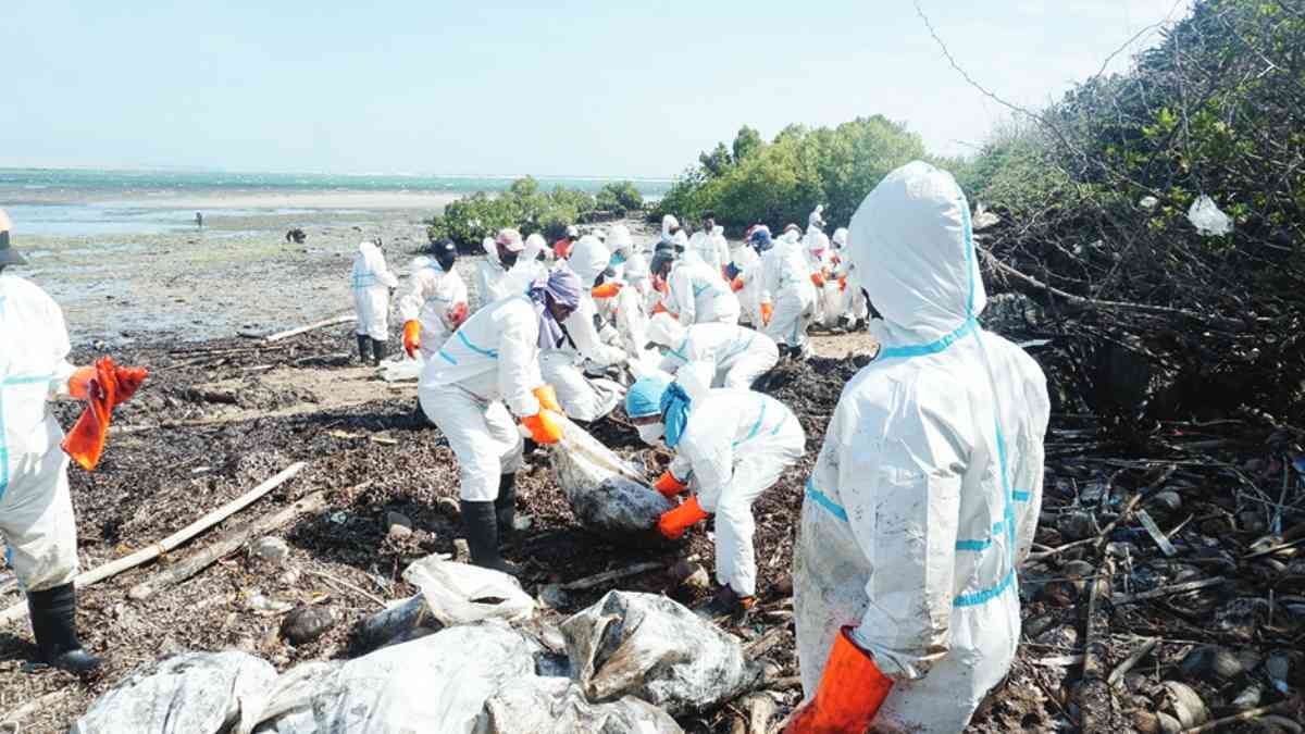 SMPC helps in cleanup