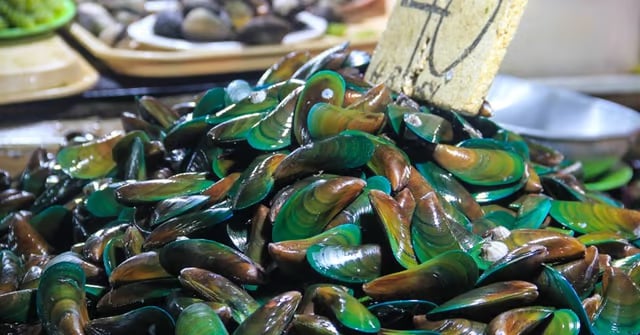 BFAR: Visayas, Mindanao waters detected with red tide