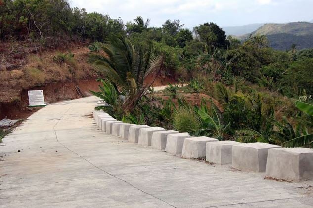 Roads built for Rizal pineapple, rice farmers 