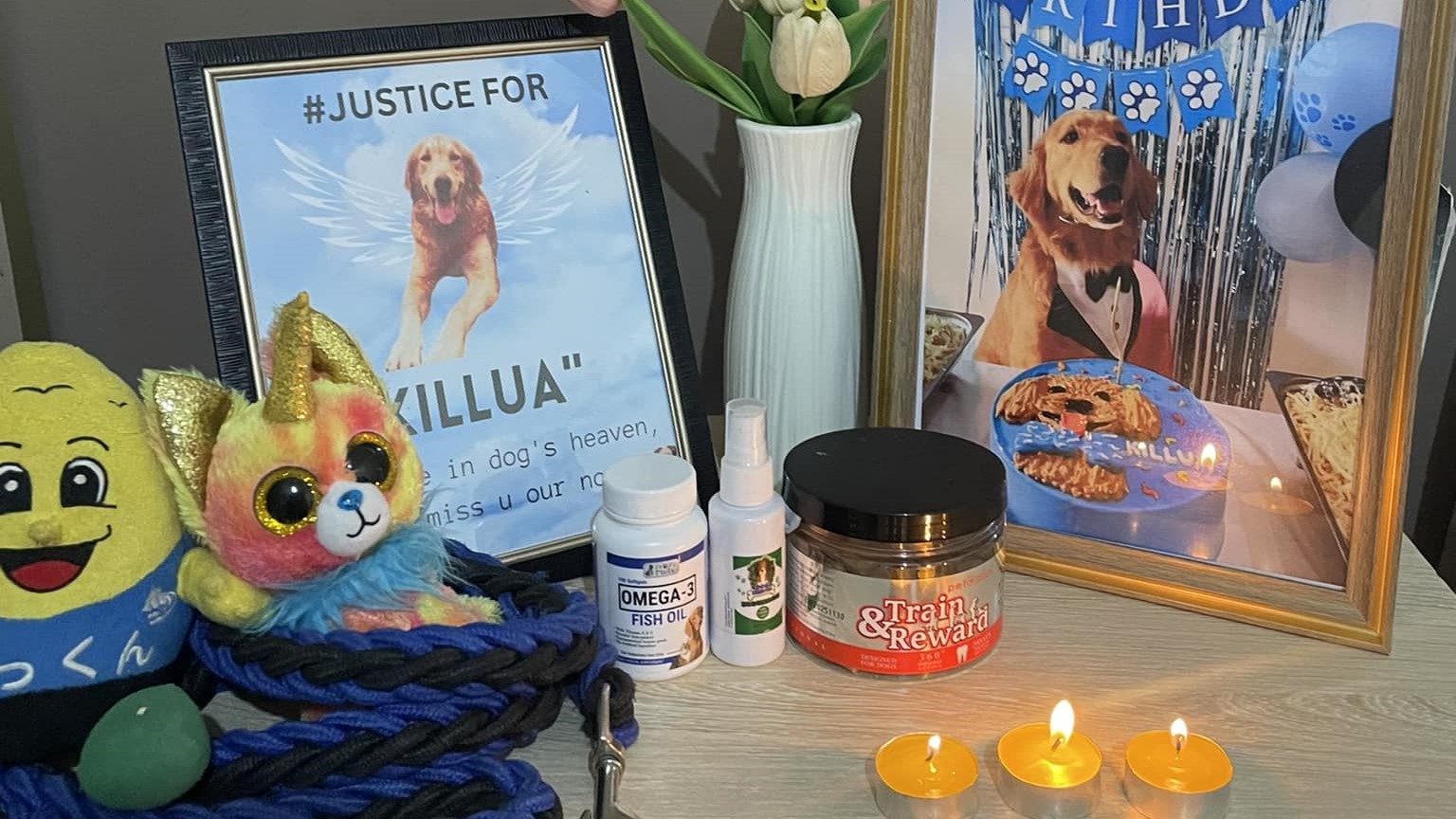 Solons condemn brutal killing
of dog ‘Killua’