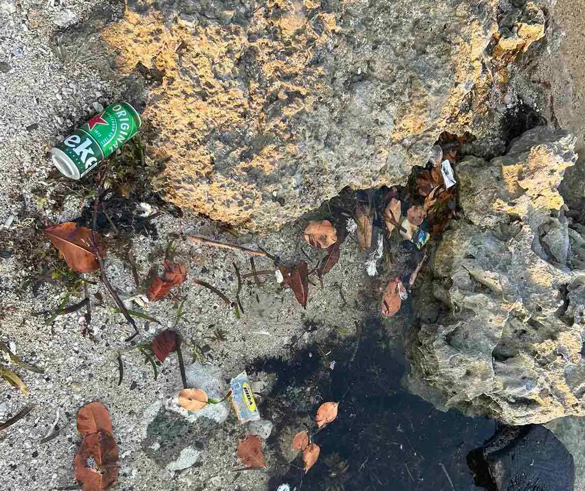 Rock formation trash