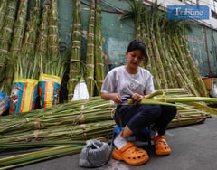 Getting ready for Palm Sunday
