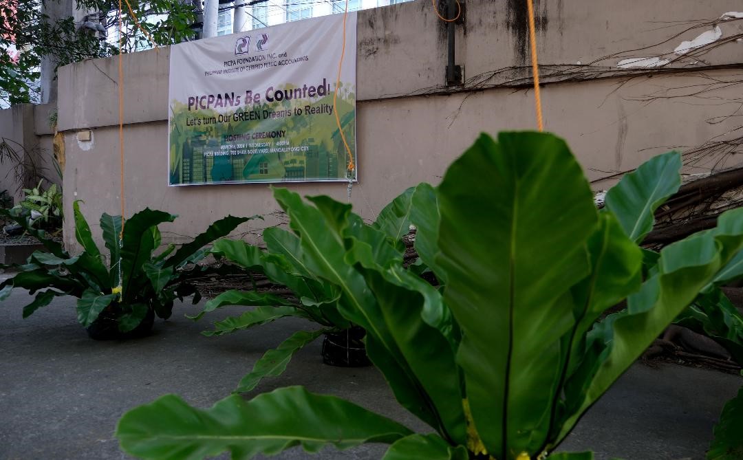 Auditors’ group center greened