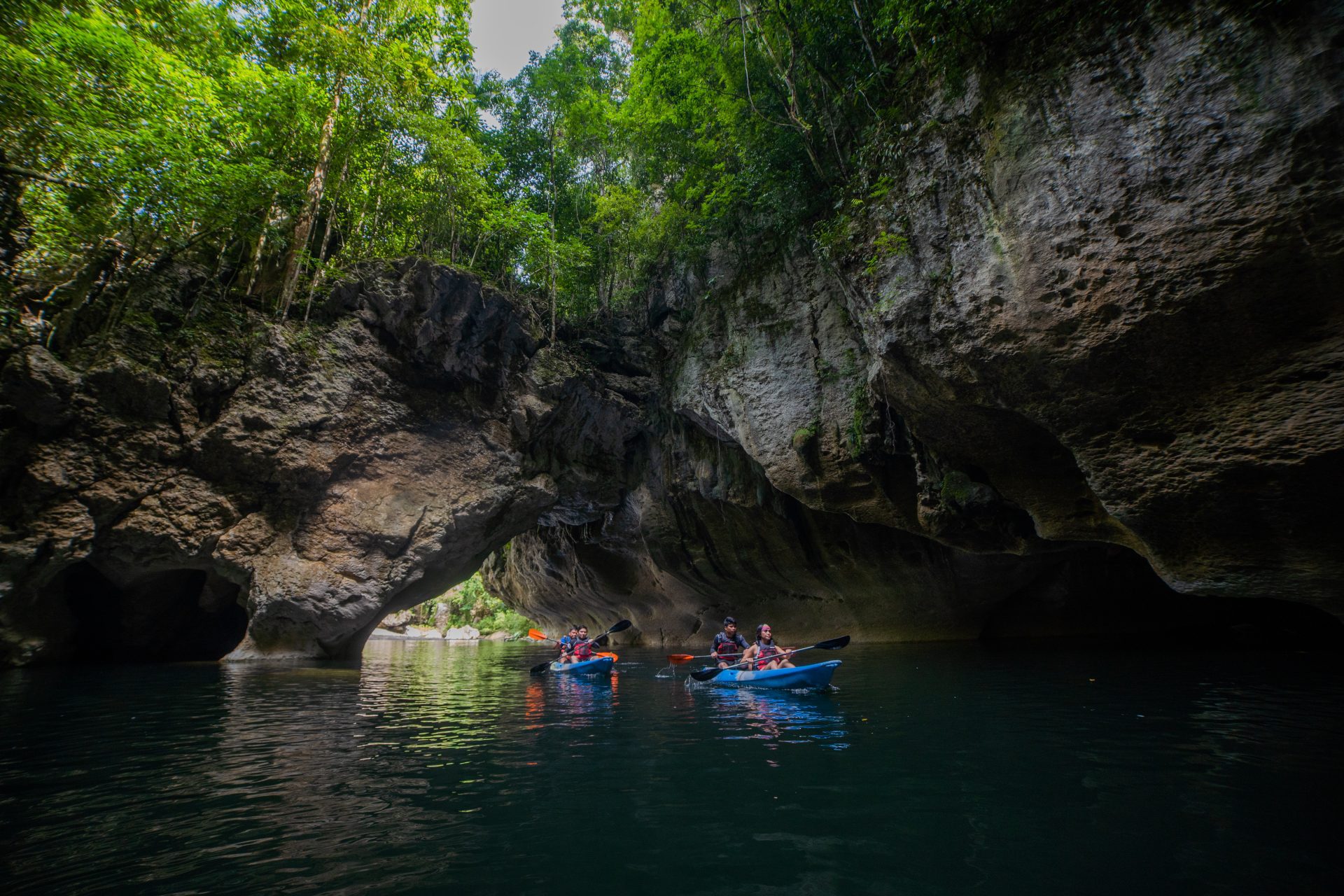 SINP inclusion in World Heritage Tentative List welcomed