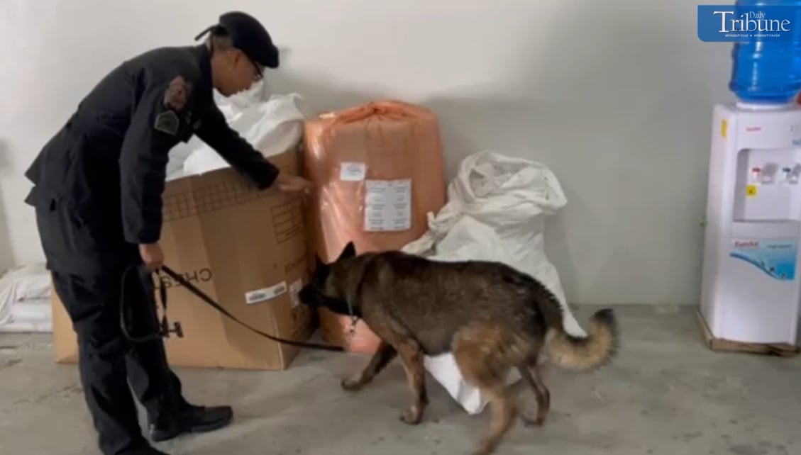 [Exclusive] Dried marijuana leaves, kush found in parcel
