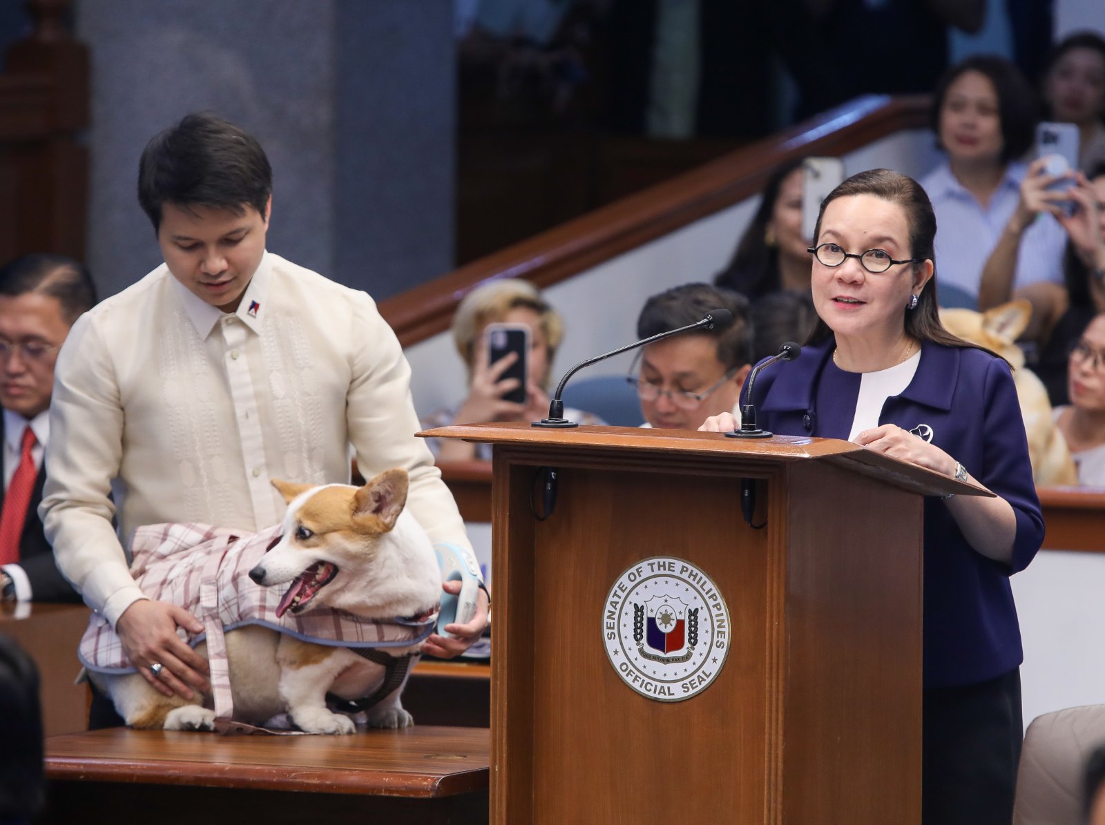 Poe seeks to strengthen animal welfare law 