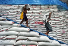 DA rules out rice price caps