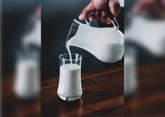 H5N1 strain of bird flu found in milk: WHO
