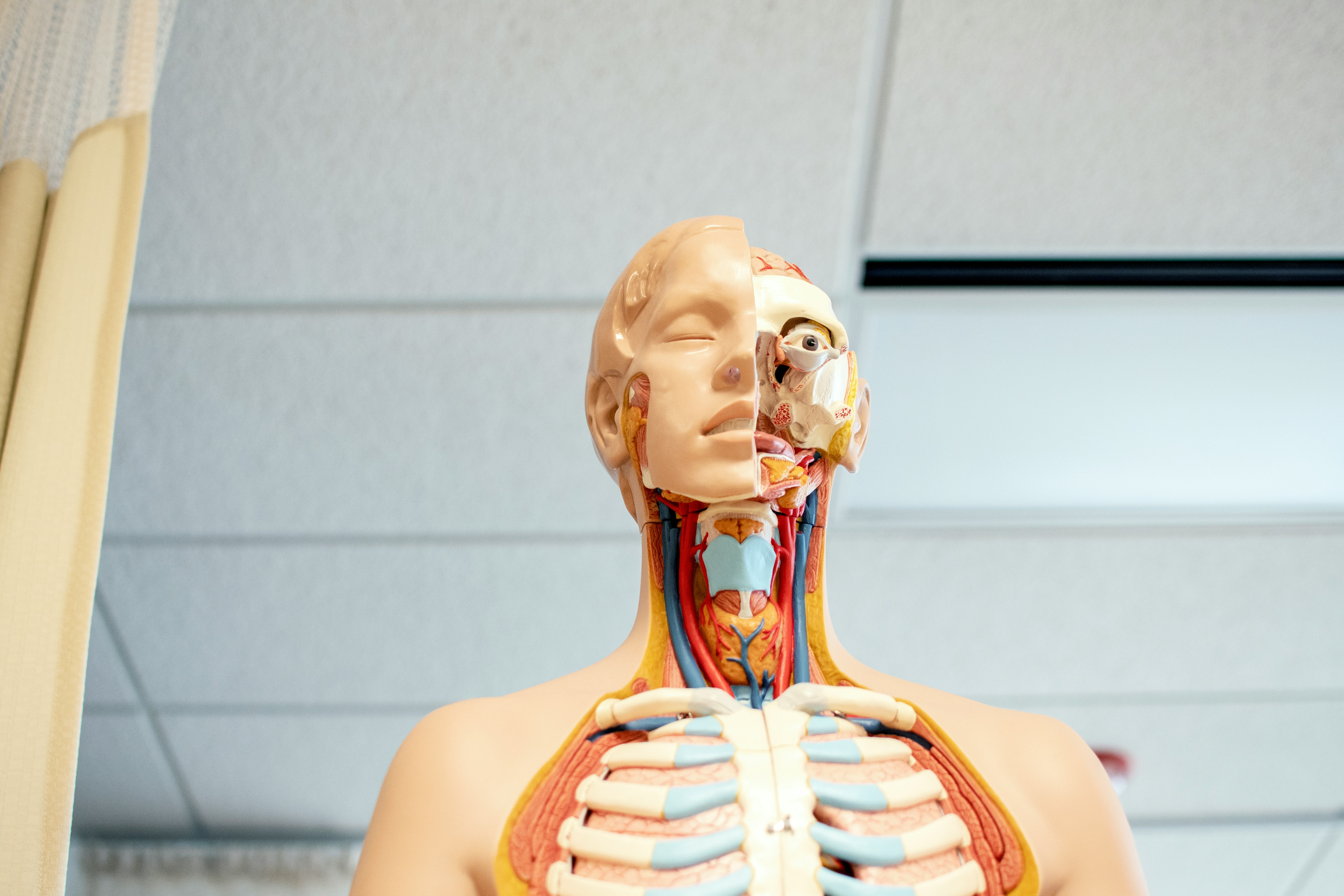 New throat patch can turn muscle movements into speech
