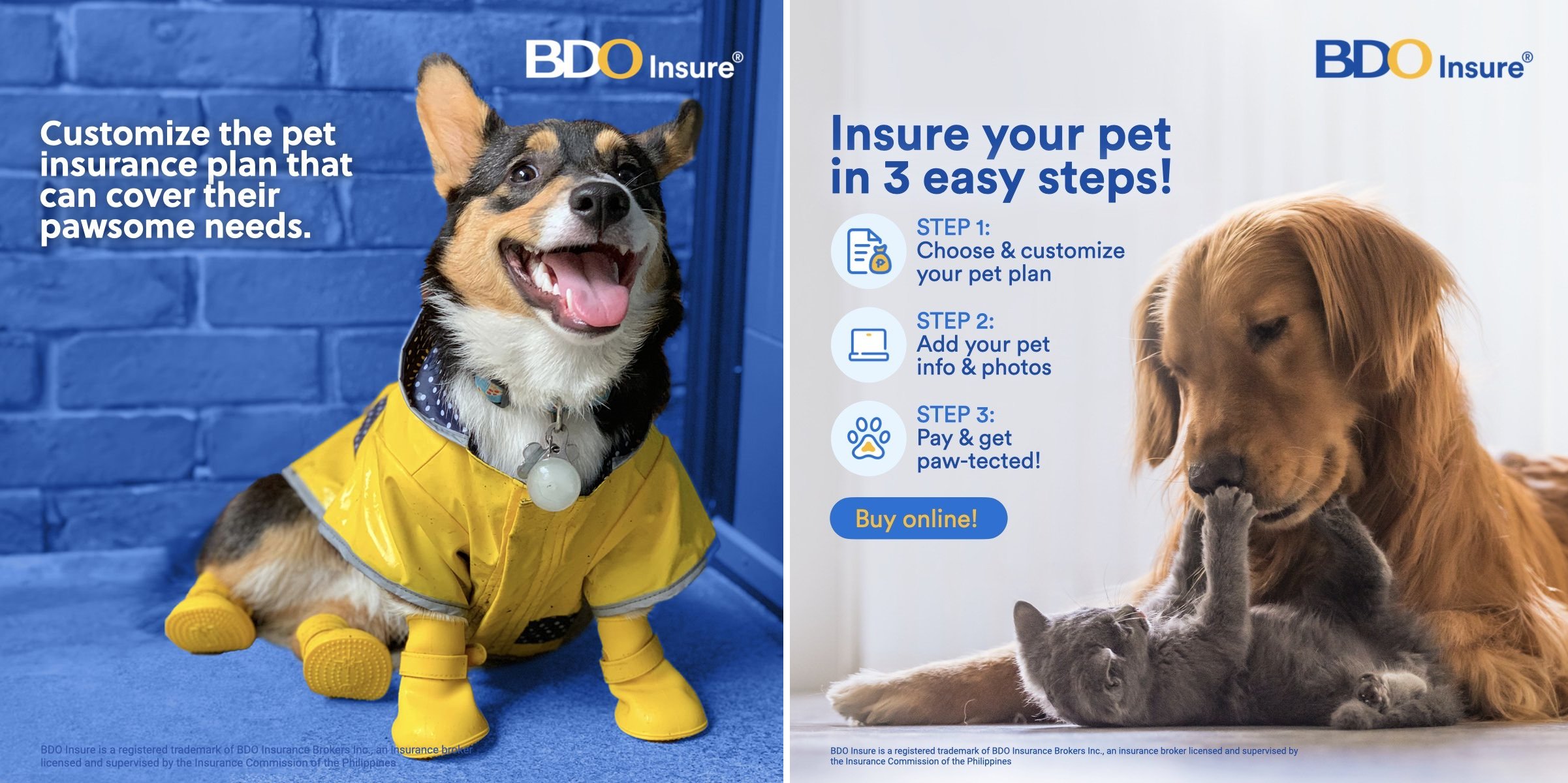 BDO Insure advocates responsible pet ownership