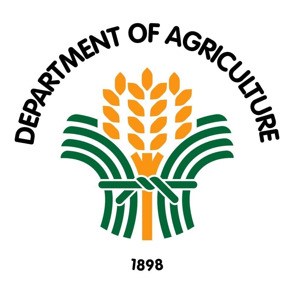 DA seeks swift hog industry recovery