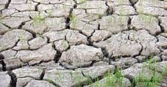 DA boosts drought defenses