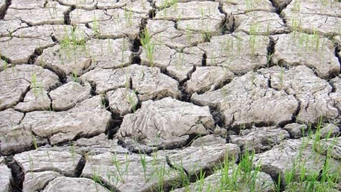 DA boosts drought defenses
