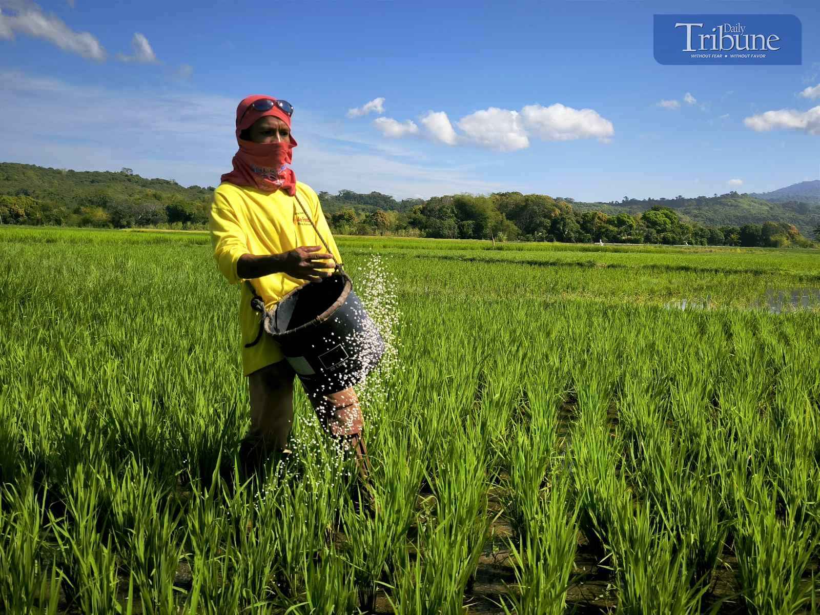 DA eyes independent lab to solve rice analysis-autonomy from NFA 