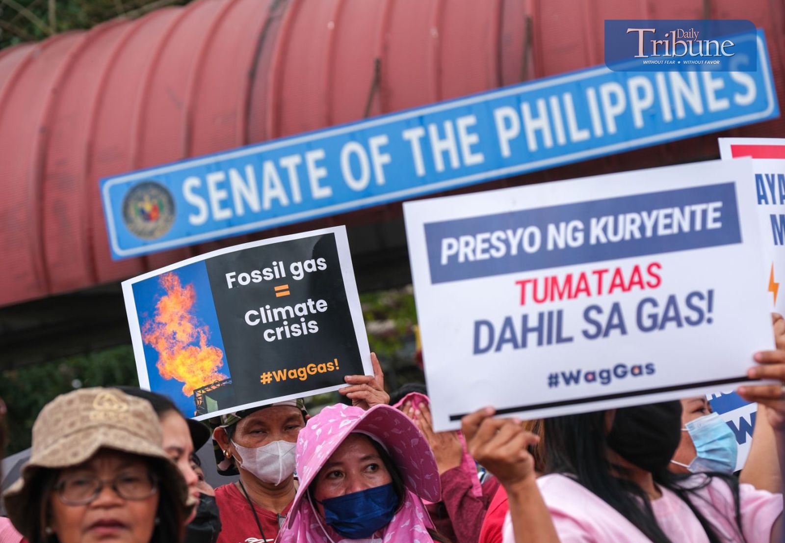 WagGas protesters rally against gas bills at Senate