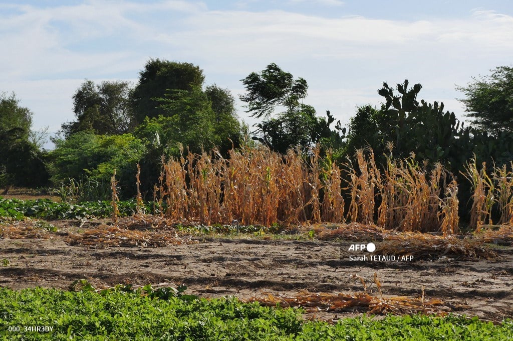 DoST chief urges public to conserve water amid El Niño threat