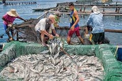 Agri-fisheries sector receives huge boost
