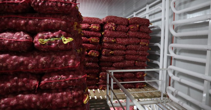 Laurel orders inspection of onion warehouses amid hoarding, price manipulation concerns