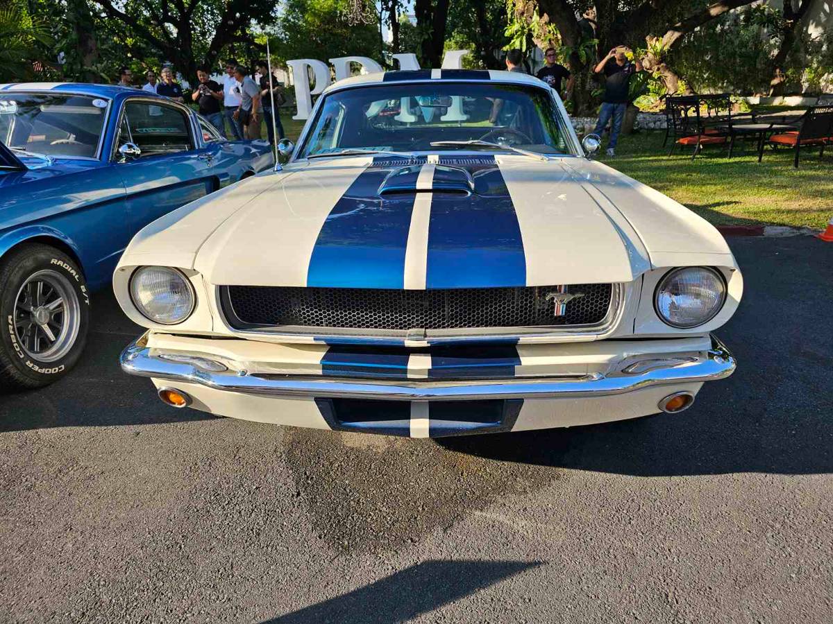 Mustang owners came from all over aboard their beloved rides like this restored 1965 Mustang Shelby.