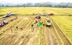 House panel urges swift action against rice price manipulation
